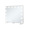 LM434 Vanity Mirror with Lights-Y
