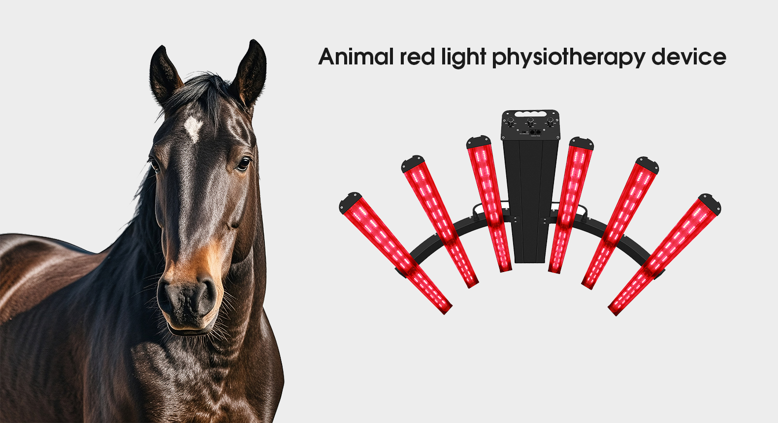 Animal Red light therapy devices