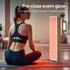 2026 North America Hit Red Light Sauna Panel 216 LEDs 2 Wave LED Light Therapy Post Partum Care Recovery with Certification
