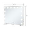 LM434 Vanity Mirror with Lights-Y